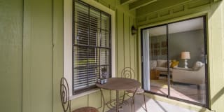 Laurel Oaks Gallery 15