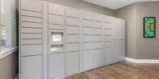 Art Avenue Gallery 29