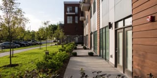 Pinnex Gallery 50