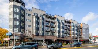 Urbana Urbana Gallery 58