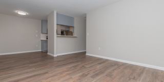 The Hazelwood Gallery 72