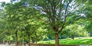 472 Central Park West Gallery 5