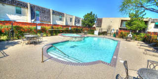 University Gardens Gallery 1