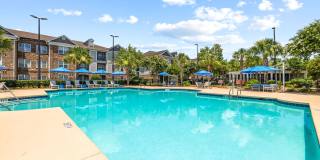 Olympus Carrington Gallery 21