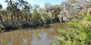 2746 ORCHID OAKS DRIVE Gallery 55