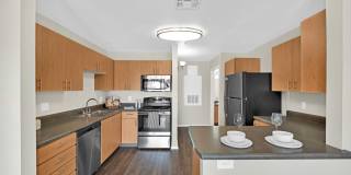 Esteban Park Gallery 11