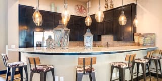 Roots at Boerne Gallery 11