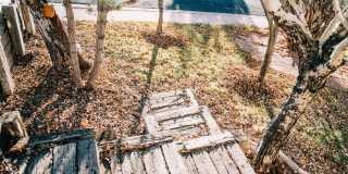 SMALL DOG FRIENDLY!!!  Meadow Street House Gallery 46