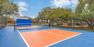 Sycamore Springs Gallery 27