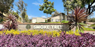 Lovely 3 bedroom 2 bath townhome In the Allied Gardens! Lovely 3 bedroom 2 bath townhome In the Allied Gardens! Gallery 1