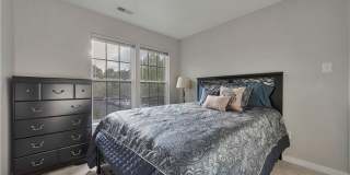 2545 Mountain Ash Circle Gallery 26