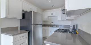 Kingsley Court Gallery 20