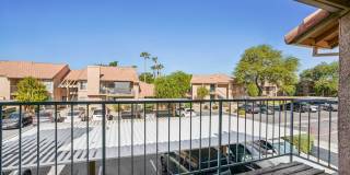 Desert Oasis Gallery 23
