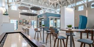 Aster at the Summit Gallery 16