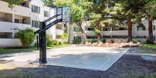 Northgate Apartments Gallery 18