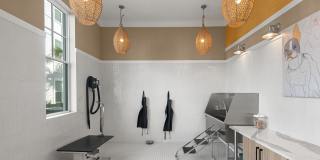 Aventon Isabelle Gallery 38