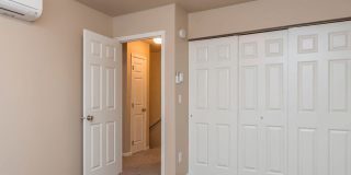 Silver Springs Gallery 7