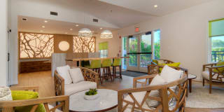 Northpark Gallery 36