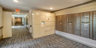 Belle Spring Branch Gallery 26