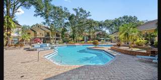 8711 Fancy Finch Dr Gallery 1