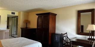 29129 BAY HOLLOW DRIVE Gallery 5