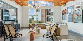 Bluebird on Seventy Gallery 12