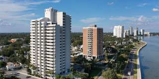 4141 Bayshore Blvd Apt 1204 Gallery 1