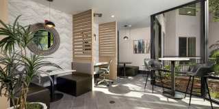 Accent Gallery 19