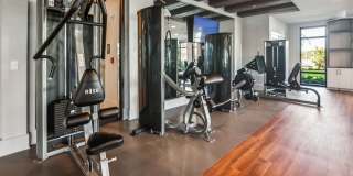 RISE Sereno Gallery 27