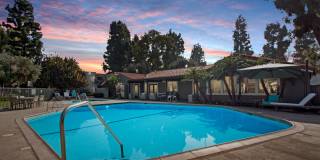 Olive Ridge Apartments Gallery 33