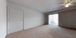 Mallow at The Hills Gallery 5