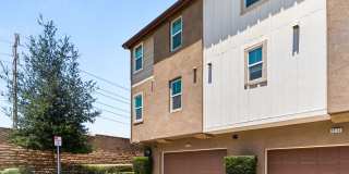 12162 Diamond Dust Dr. 12162 Diamond Dust Dr. Gallery 19