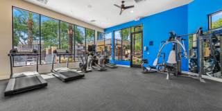 Cobalt on 32nd Street Gallery 12