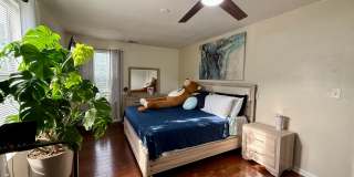 Beutifully updated 4 bed 2.5 bath home with large yard! Gallery 20