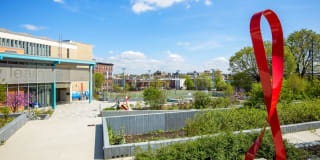 The Silva Gallery 35