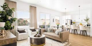 Onyx at Westgate Gallery 4