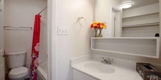 Whispering Sands Gallery 14