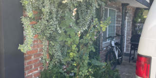 19122 Clymer Street Gallery 5