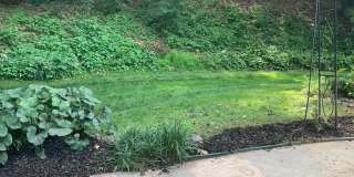 4618 BRIAR PATCH CT Gallery 34