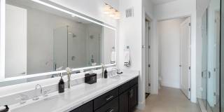 Cortland M-Line Gallery 46