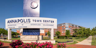 Crosswinds at Annapolis Town Center Gallery 21