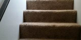 Florence, 6344 East Side Hwy Gallery 1