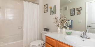 Connally at Clear Creek 55+ Apartments Gallery 26