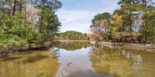 513 Chesopeian Trail Gallery 39