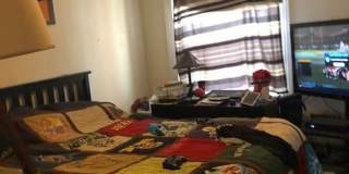 No Fee!  Gorgeous Comm Ave Apt by T!  Modern Appliances.  Cat & Small Dog OK Gallery 6
