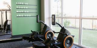 Livano Nations Gallery 39