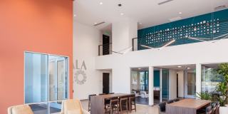 Kalaco Gallery 20