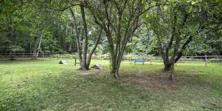 The Dorchester Gallery 15