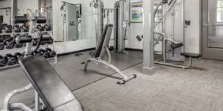 Bell South Lamar Gallery 17