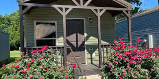 1 Bed/1 Bath Tiny Home • Sulphur Rock Gallery 1